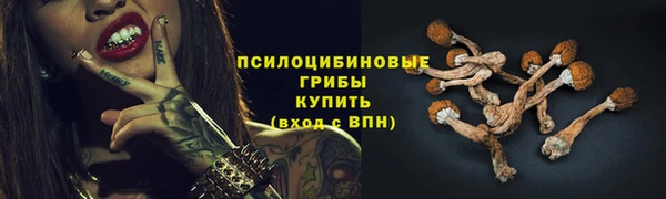 эйфоретик Зеленокумск