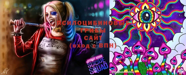 эйфоретик Зеленокумск